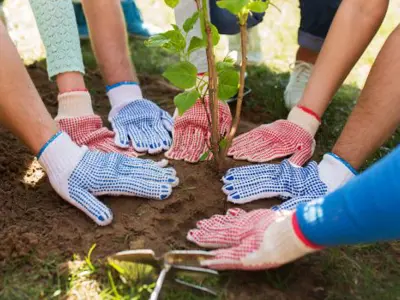 Tree-Planting-header.jpg