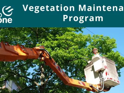 Vegetation-Maintenance-Program.jpg