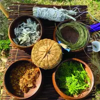 Indigenous Ways of Knowing