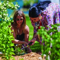 Community Gardening
